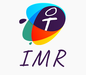 online kvalitatív piackutatási szoftver IMR