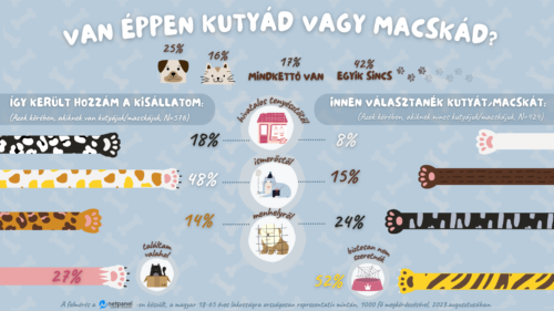 infografika kutyatartás háziállat macskatartás
